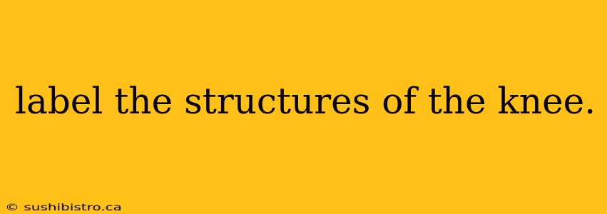 label the structures of the knee.